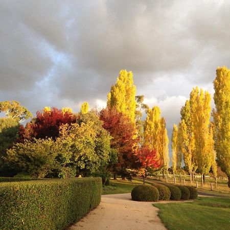 Glen Waverly Farmstay Glen Innes Buitenkant foto