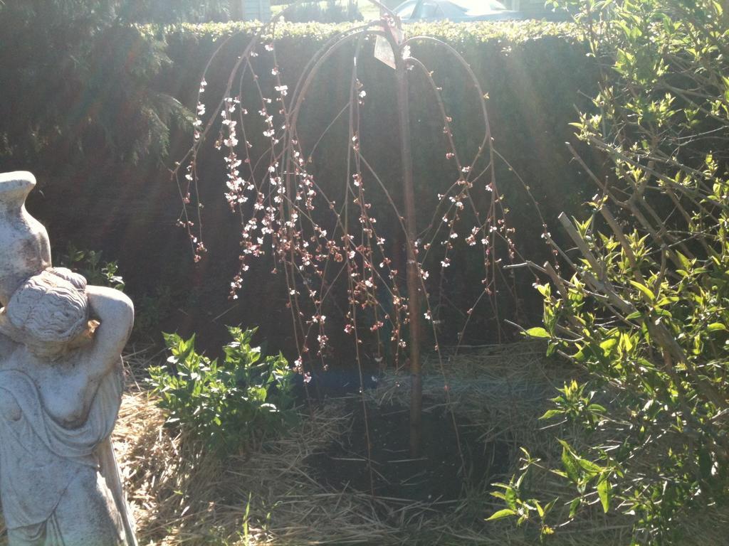 Glen Waverly Farmstay Glen Innes Buitenkant foto