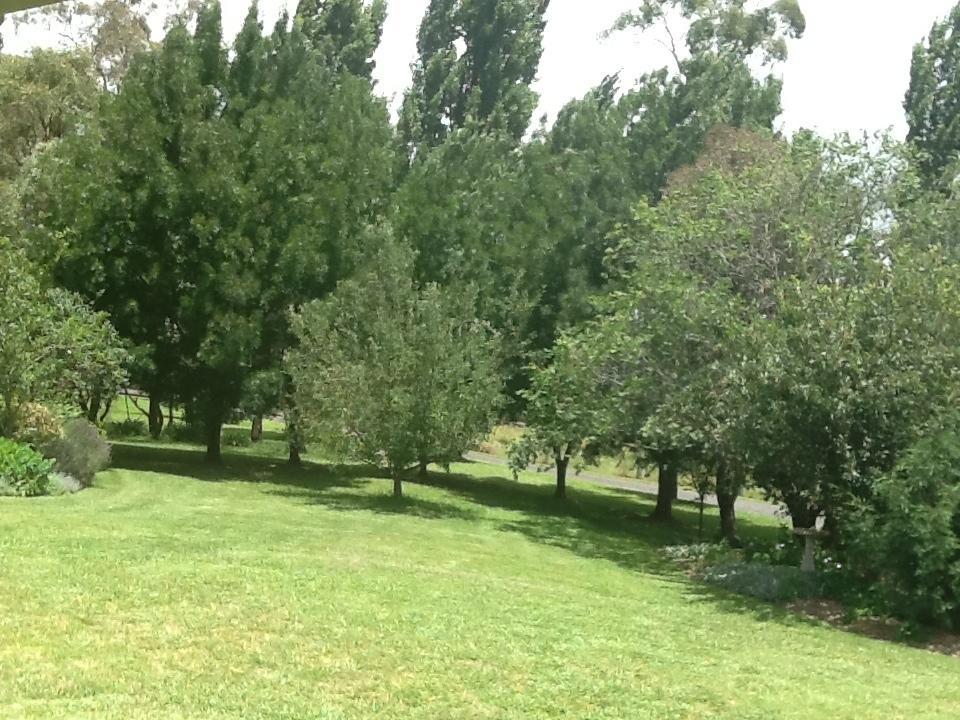 Glen Waverly Farmstay Glen Innes Kamer foto
