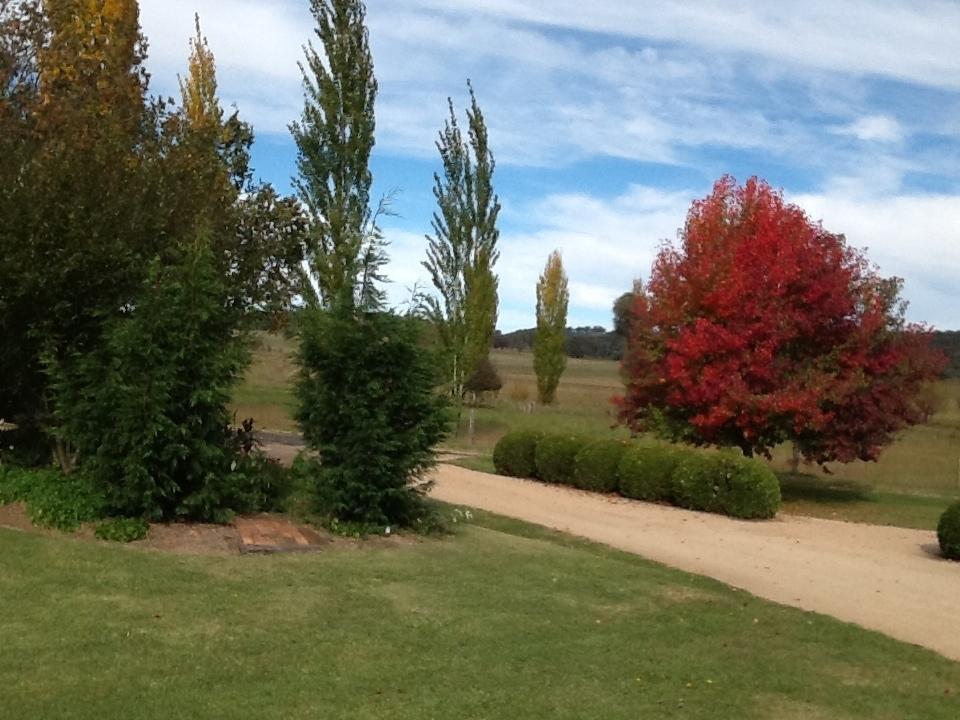 Glen Waverly Farmstay Glen Innes Kamer foto